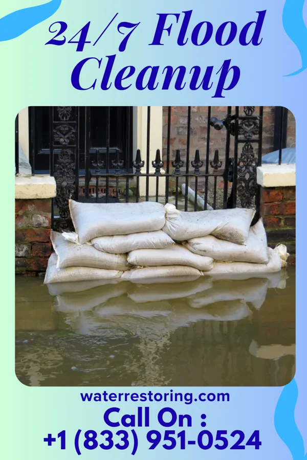 24/7 Flood Cleanup in Woodstock, VA