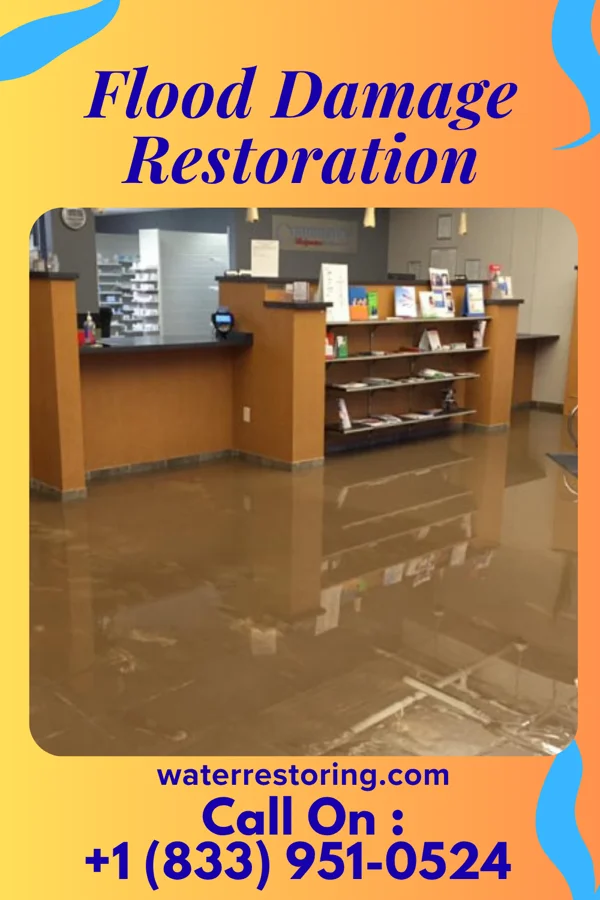 Flood Damage Restoration in Woodstock, VA