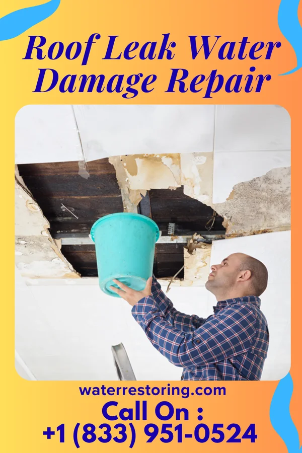 Roof Leak Water Damage Repair in Woodstock, VA