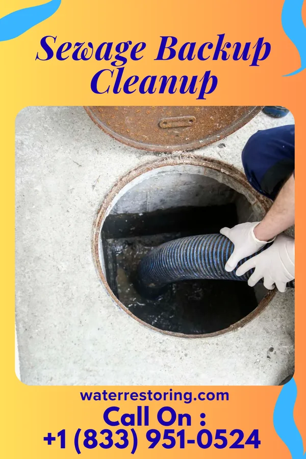 Sewage Backup Cleanup in Woodstock, VA