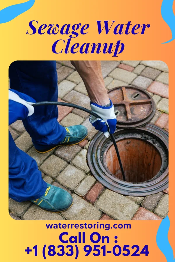 Sewage Water Cleanup in Woodstock, VA
