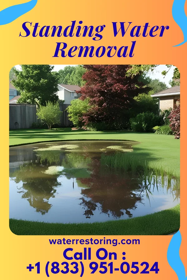 Standing Water Removal in Woodstock, VA